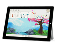蕉岭Surface 无法开启、Windows 无法启动或电池无法充电